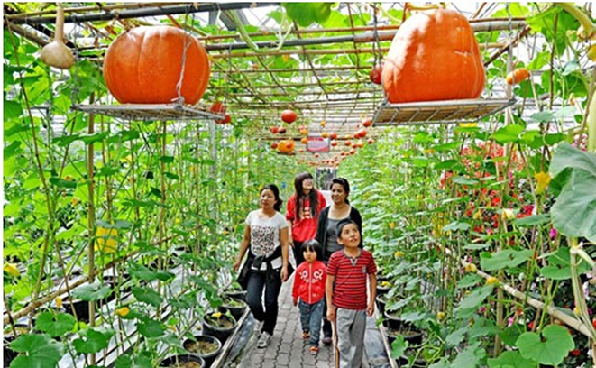 1647830413851165.jpg 02.jpg